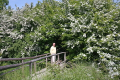 Killikus® Fotographie